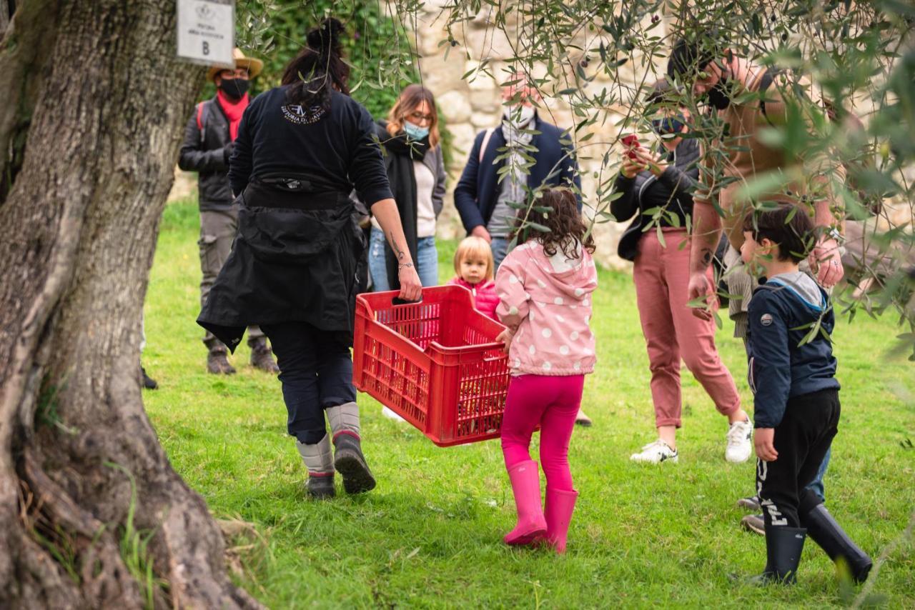 בית הארחה פייזולה 	Fattoria Di Maiano מראה חיצוני תמונה