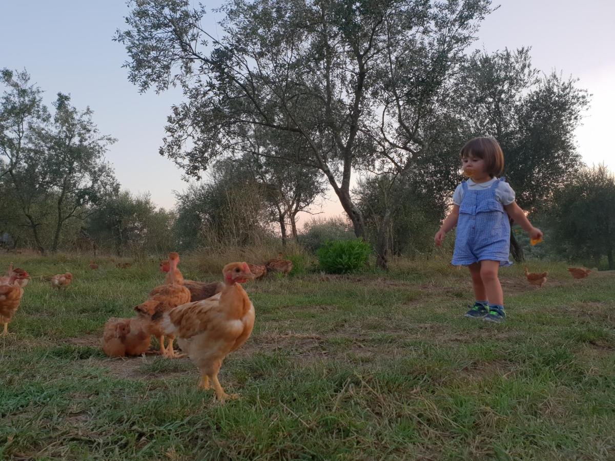 בית הארחה פייזולה 	Fattoria Di Maiano מראה חיצוני תמונה